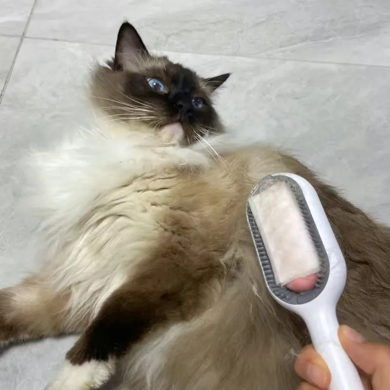 Pet Brush